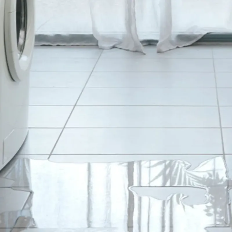 Appliance Leak Cleanup in Sebring, OH