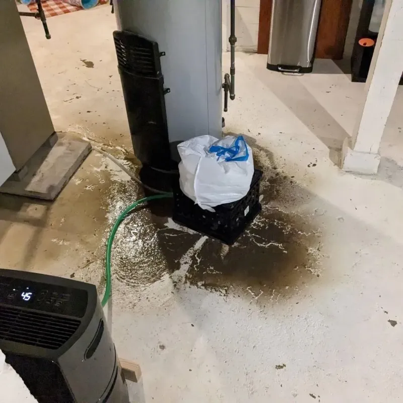 Sewage Backup Cleanup Service in Sebring, OH